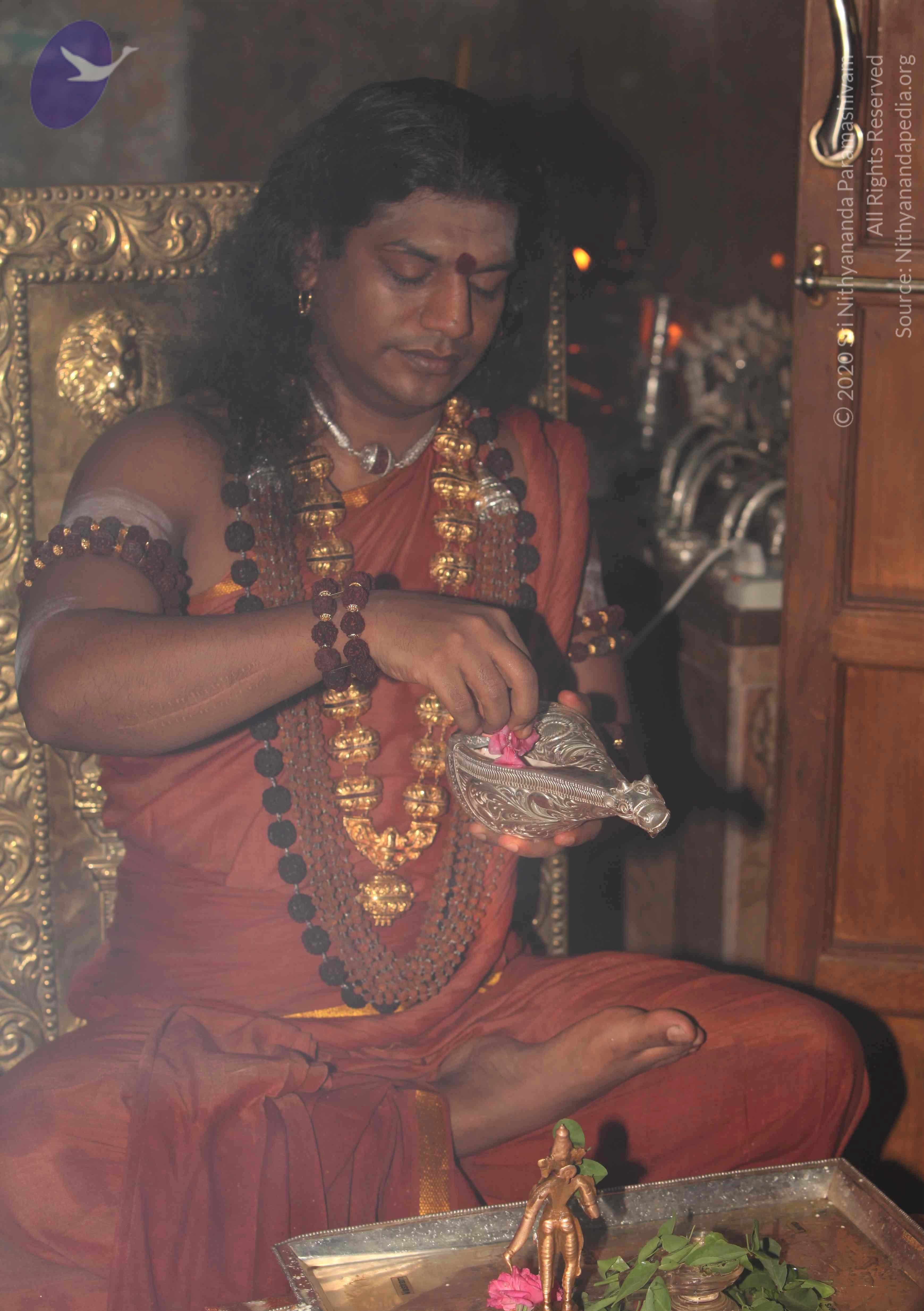 IMG_3363_CMP_WM Done